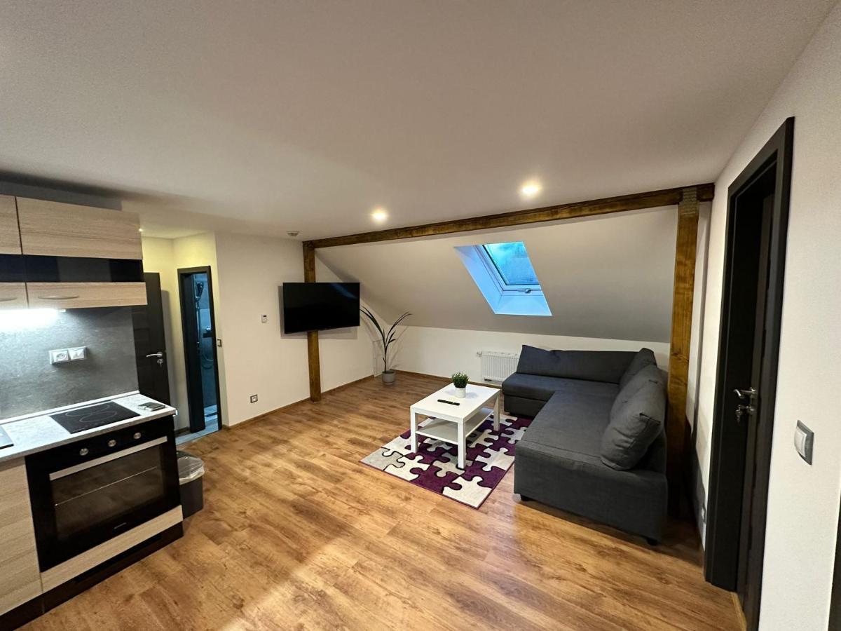 Apartmany Krenov Bernsdorf エクステリア 写真