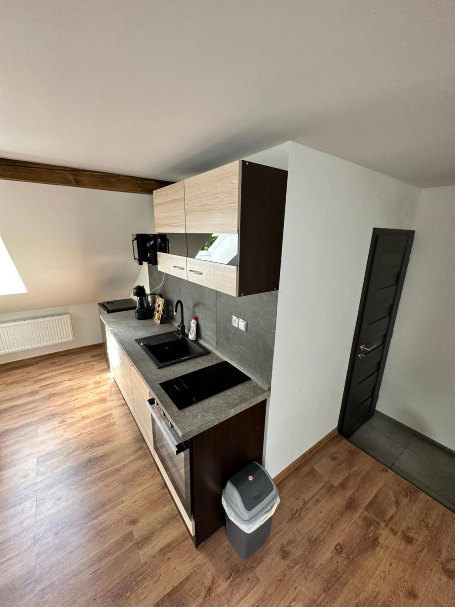 Apartmany Krenov Bernsdorf エクステリア 写真